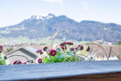 Ein allgemeiner Bergblick oder ein Berglick von der Ferienwohnung aus