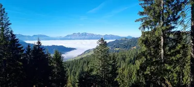 Naturlandschaft in der Nähe des Ferienhauses