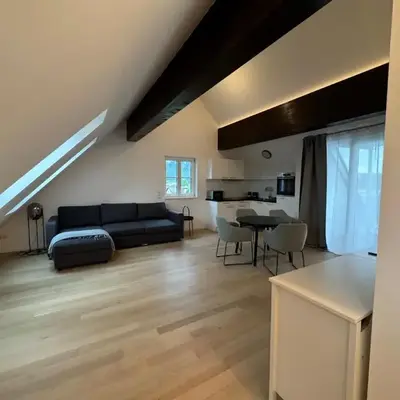 Bauern 65