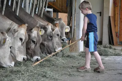 Tiere in diesem Bauernhof oder in der Nähe