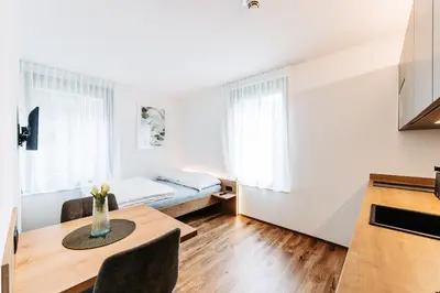 TV/Unterhaltungsangebot in der Unterkunft Bright & Modern Studios in Haselstauden