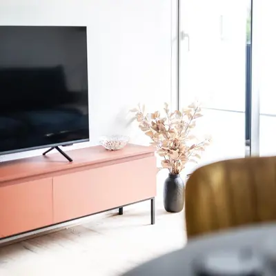 TV/Unterhaltungsangebot in der Unterkunft Rosengarten Apartments
