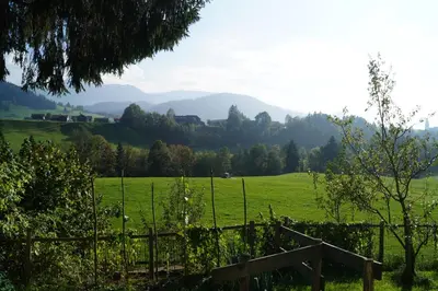 Naturlandschaft in der Nähe der Ferienwohnung