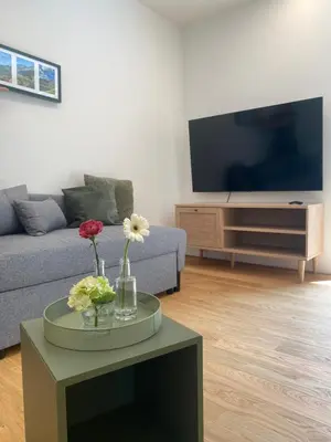 TV/Unterhaltungsangebot in der Unterkunft Neueröffnung! Gästezimmer im Herzen von Lauterach