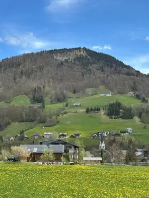 Naturlandschaft in der Nähe der Ferienwohnung