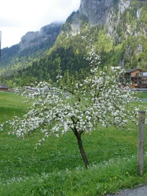 Naturlandschaft in der Nähe des Bed & Breakfasts