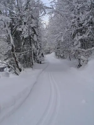 Frühstückspension Rüf im Winter