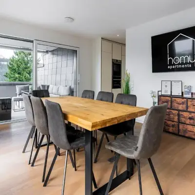 homy City Diamant - Penthouse in Feldkirch