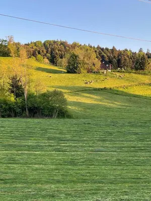 Naturlandschaft in der Nähe der Ferienwohnung