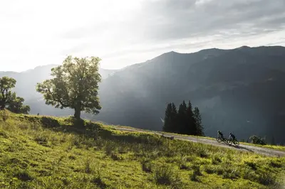 Naturlandschaft in der Nähe der Ferienwohnung