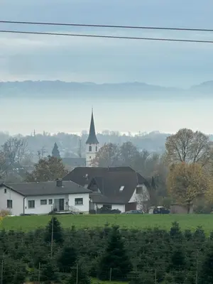 Naturlandschaft in der Nähe der Ferienwohnung