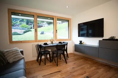 TV/Unterhaltungsangebot in der Unterkunft Alpin Chalet