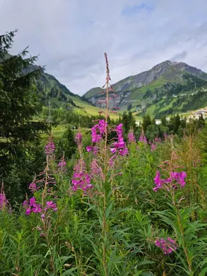 Naturlandschaft in der Nähe der Ferienwohnung