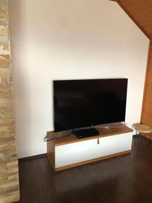 TV/Unterhaltungsangebot in der Unterkunft Mühlebach Apartment