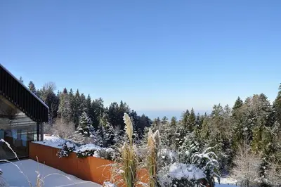 Naturlandschaft in der Nähe der Ferienwohnung