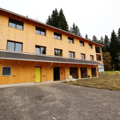Dog-friendly holiday apartment in Bregenzerwald