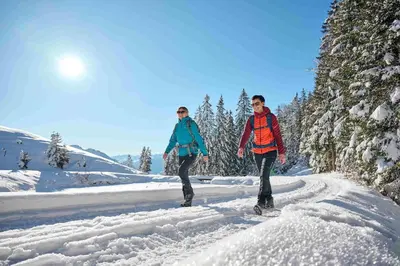 Halden Hills im Winter