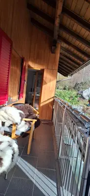Ein Balkon oder eine Terrasse in der Unterkunft Conny's Lodge
