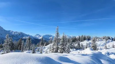 Haus Topa im Winter