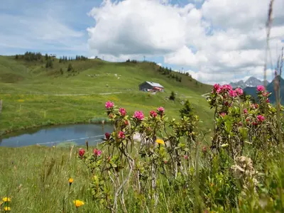 Naturlandschaft in der Nähe der Ferienwohnung