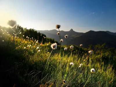 Naturlandschaft in der Nähe des Ferienhauses