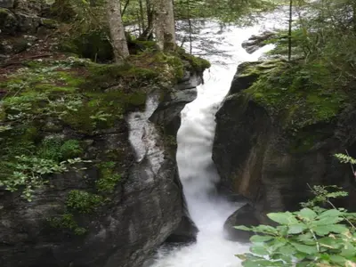 Naturlandschaft in der Nähe des Ferienhauses