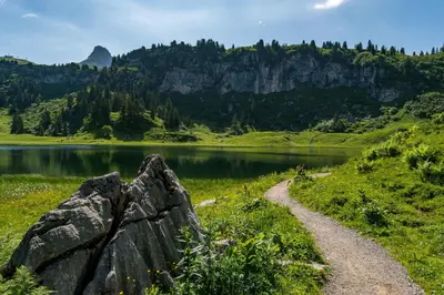 Naturlandschaft in der Nähe der Ferienwohnung