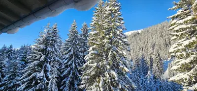 Pension Panorama Warth im Winter