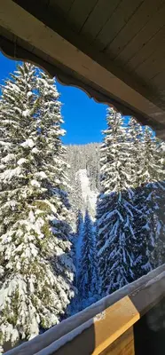 Ein allgemeiner Bergblick oder ein Berglick von der Pension aus