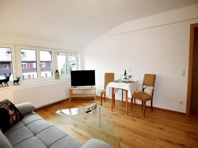 TV/Unterhaltungsangebot in der Unterkunft Holiday apartment in Bregenzerwald near forest