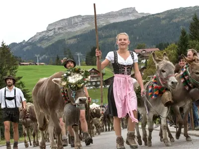 Tiere im Ferienhaus oder in der Nähe