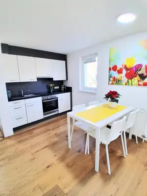 Küche/Küchenzeile in der Unterkunft Top18 Apartmenthaus Sonnenschein