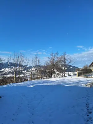 Naturlandschaft in der Nähe der Ferienwohnung
