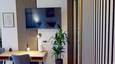 TV/Unterhaltungsangebot in der Unterkunft CROWN LIVING Basic Studios Dornbirn - Zentrale Studios mit WLAN, kostenloser Parkplatz, Self Check-in, ideal für Feriengäste und Geschäftsreisende