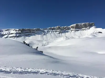 Sonnenstern im Winter