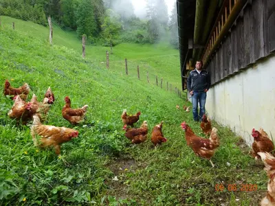 Tiere in der Ferienwohnung oder in der Nähe