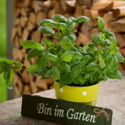 Gartenstudio Waldblick