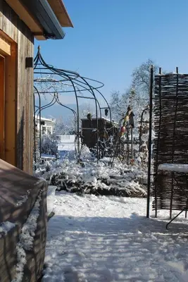 Ferienwohnung Rheintal im Winter