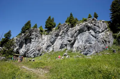 Naturlandschaft in der Nähe des Ferienhauses
