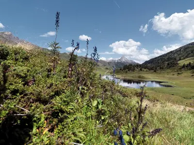 Naturlandschaft in der Nähe des Ferienhauses