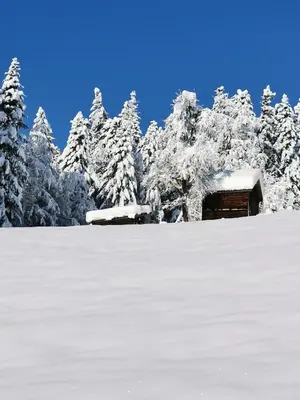 Ferienwohnung Panorama im Winter
