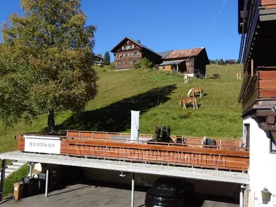 Naturlandschaft in der Nähe des Aparthotels