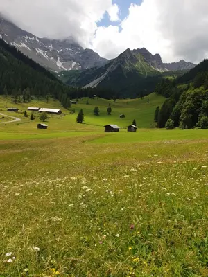 Naturlandschaft in der Nähe der Ferienwohnung