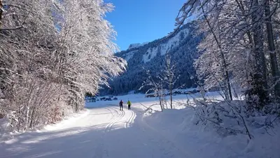 Mein Elternhaus Gästehaus Waltraud Fink im Winter