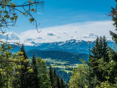 Naturlandschaft in der Nähe der Ferienwohnung
