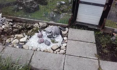Ein Garten an der Unterkunft Jausenstation Neuschwand