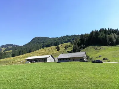 Naturlandschaft in der Nähe der Ferienwohnung
