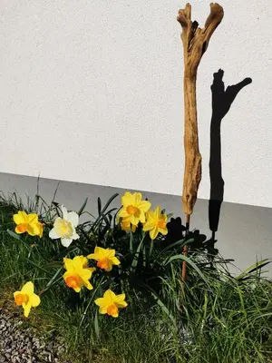 Ein Garten an der Unterkunft Ferienwohnung an der Alten Säge