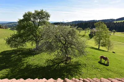 Naturlandschaft in der Nähe des Bauernhofs