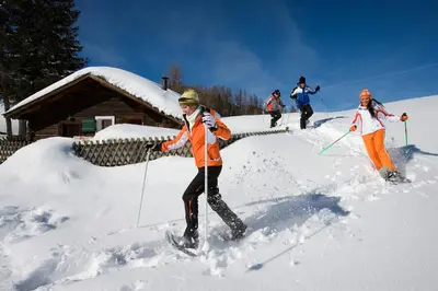 Alm – Chalet Domig im Winter
